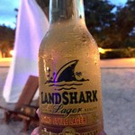 Nikki Beach Club - 陸鮫