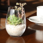 ファームレストラン・ヴィーズ - 店内