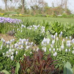 ファームレストラン・ヴィーズ - ガーデン