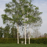 ファームレストラン・ヴィーズ - ガーデン