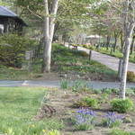 ファームレストラン・ヴィーズ - ガーデン