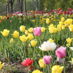 ファームレストラン・ヴィーズ - ガーデン