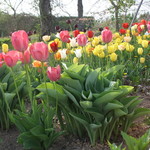 ファームレストラン・ヴィーズ - ガーデン