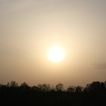 ファームレストラン・ヴィーズ - ヒルズの太陽