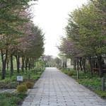 ファームレストラン・ヴィーズ - ガーデン