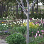 ファームレストラン・ヴィーズ - ガーデン