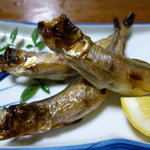 がんび - 本物のシシャモ