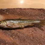 旬菜 おぐら家 - 琵琶湖本もろこの炭火焼