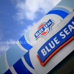 ブルーシール - 