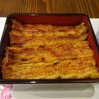 入谷鬼子母神門前のだや - うな重（うぐいす）