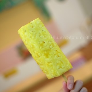 ナゴパイナップルパーク_0