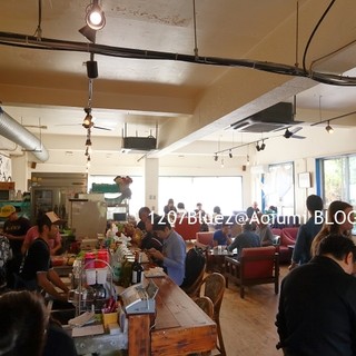 キャプテンカンガルー_2