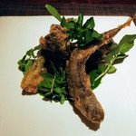 イル アオヤマ - 稚鮎