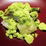 イル アオヤマ - アオリイカ、アスパラ