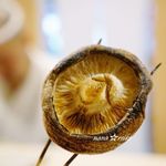 焼鳥　おみ乃 - 岩手県どんごしいたけ