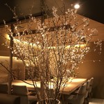 焼肉 強小亭 - さくら綺麗