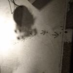 鳥 から揚げ うえ山 - 