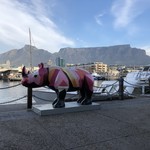 PICK’N PAY - ウォーターフロントからテーブルマウンテンを望む