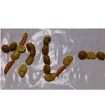 TOMIZ - 料理写真:カレーミックスナッツ100g入り270円