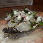 炙り真鯛のカルパッチョ