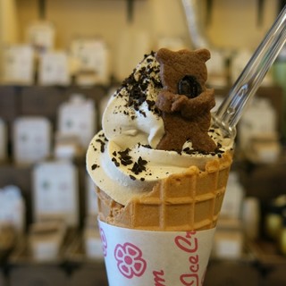 注文焙煎 豆虎_1