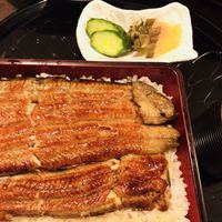 割烹蒲焼 横浜八十八 吉田町店 - 