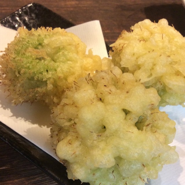 もぉーりー - 摩耶/居酒屋 | 食べログ
