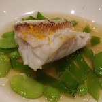 レフェルヴェソンス - 