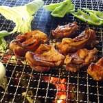 らくだ山 地鶏の店 - 