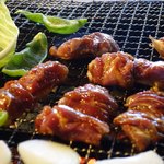 らくだ山 地鶏の店 - 