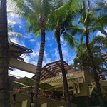 Island Vintage Coffee - こちらです