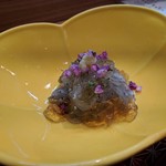 肴とお酒 うを弘 - 小田原産 生シラスジュレ掛け