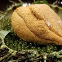照寿司 - (01)赤雲丹(山口県萩産)と海葡萄(沖縄県産)
                    先ずは赤雲丹の大きさにビビる！(@_@)
                    粒が立って素晴らしい甘み、これ程の赤雲丹は見たことが無いかもしれない。
                    そして海葡萄の粒の瑞々しさも素敵です
