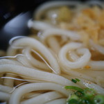 讃岐うどん 上原屋本店 - 