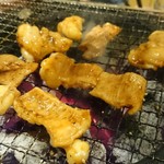 炭火焼肉屋台 たじま屋 - ホルモンは炭火が美味しい