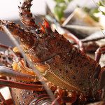 居酒屋 まことや - 