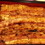 鰻 むさし乃 - 新仔鰻重