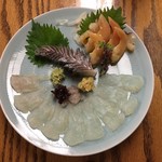 らんまん - まこがれい・こはだ・青柳