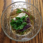 らんまん - 浜防風