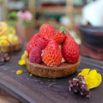 Gallery & Cafe ENSOU - ベリーのタルト☆