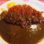 カレー工房ダーニャ - ポークカツカレー