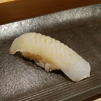 匠 進吾 - あおりいか握り