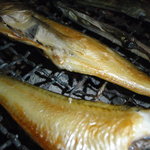 はたはた一夜干し