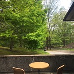 Porcupine - テラス