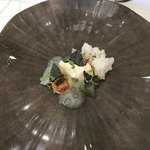 クイントカント - 