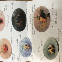 クイントカント - 