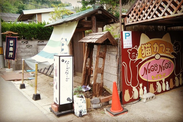 猫カフェなーごなーご 瀬戸口 カフェ 喫茶 その他 食べログ 猫カフェなーごなーご 瀬戸口 カフェ 喫茶 その他 食べログ