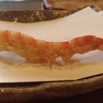 大石 - 才巻きエビ本体その2