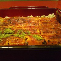 うなぎ割烹 大江戸 - 