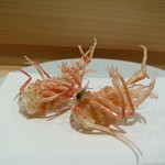 天冨良 いわ井 - 才巻き海老の頭